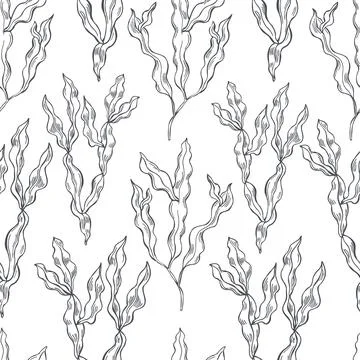 Edible  algae.   Vector  pattern. Illustrazione stock