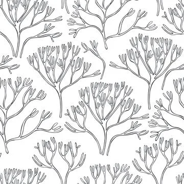 Edible  algae.   Vector  pattern. Stock Illustration