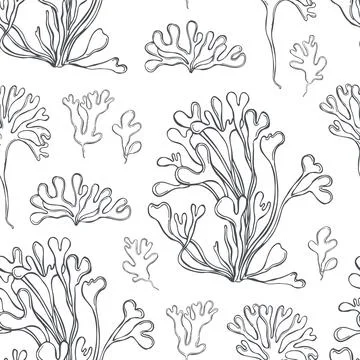 Edible  algae.   Vector  pattern. Stockillustratie