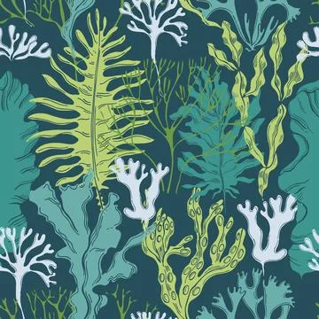 Edible  algae.   Vector  pattern. Illustrazione stock