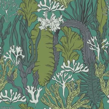 Edible  algae.   Vector pattern. 스톡 일러스트