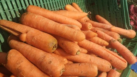 Edible carrots displayed at a fruit and vegetable market Stock Footage 165077306