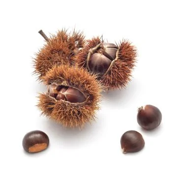 Edible chestnuts Stock Photos