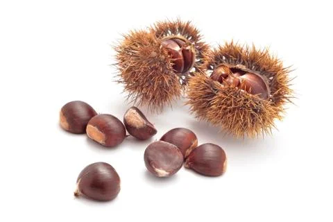 Edible chestnuts Stock Photos