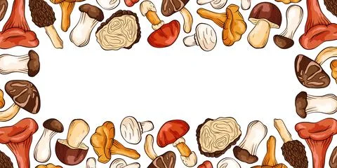 Edible forest mushroom frame border design. Hand drawn fungi mix, boletus Stock Illustration