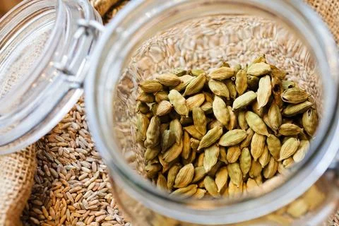 Edible grains Gratis Stockfotos