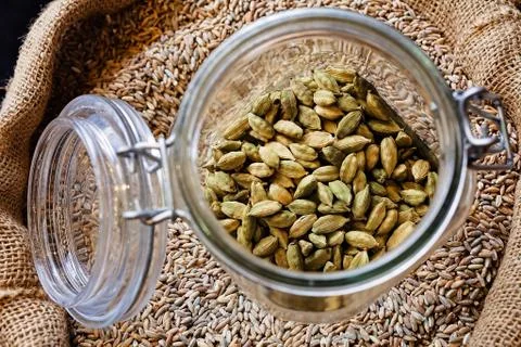 Edible grains Foto stock gratuite