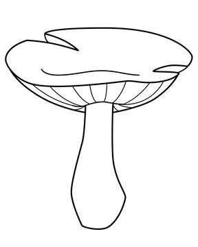 Edible mushroom Lactarius - vector linear picture for coloring. Outline. Stock Illustration