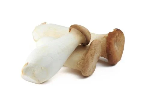 Edible mushroom Stock Photos
