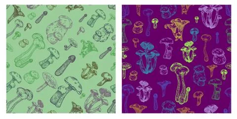Edible mushroom seamless pattern Stock Illustration