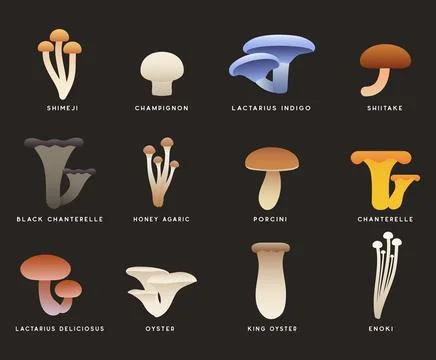 Edible Mushroom Vector Set Stock Illustration