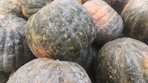 Edible squash displayed at a fruit and vegetable market Stock Footage 165077339