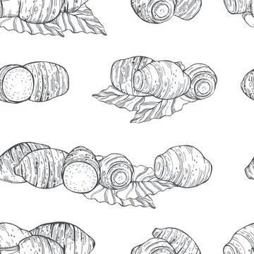 Edible taro. Vector pattern. Stock Illustration