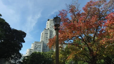 Edificio Kavanagh close up shot from the parc in Buenos AIres front of Retiro 動画素材 333764963