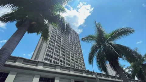 Edificio y Palmera Stock Footage 154483767