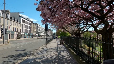 Edinburgh Lockdown Jogger and cyclist on pavement bus Princes Street Edinburgh Stock Footage 129558291
