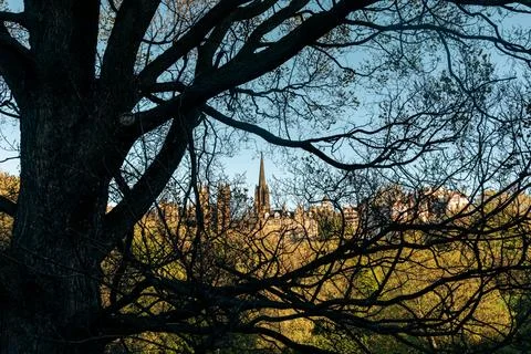 Edinburgh Old Town Framed by Tree Branches Daylight Photo Stock Photos