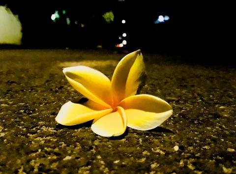 Edipray 写真素材