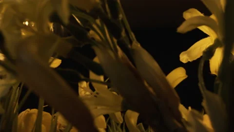 Edison 12 Stock Footage 171533479