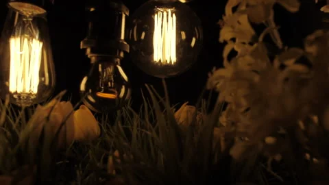 Edison 19 Stock Footage 171534491