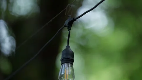 Edison Filament Bulb Hanging From String Lights In Green Garden Stock Footage 342859622