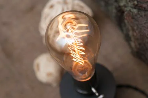 Edison lamp. Stock Photos