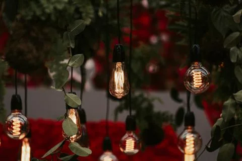 Edison light bulbs in a dark background Stock Photos