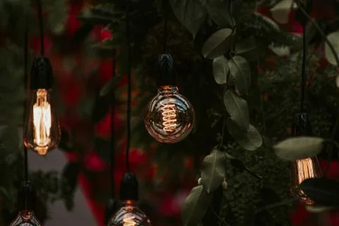 Edison light bulbs in a dark background Stock Photos