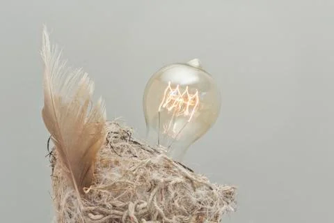 Edison Lightbulb Stock Photos