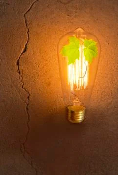Edison Lightbulb Tree Stock-Fotos