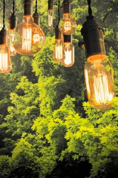 Edison Lightbulbs Stock Photos