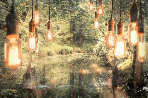 Edison Lightbulbs Stock Photos