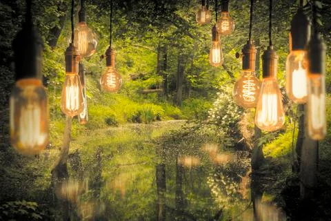 Edison Lightbulbs Foto stock