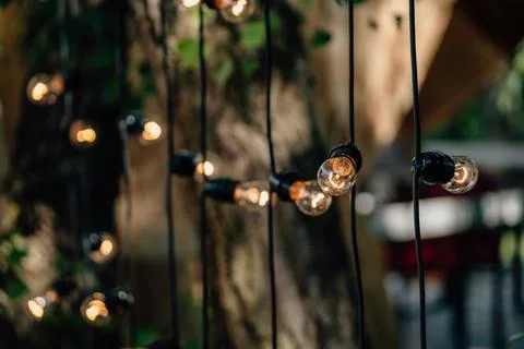 Edison-style string lights draped over a patio or garden, casting warm glowin Stock Photos