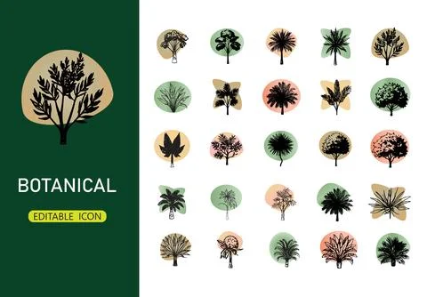 Editable botanical icon pack featuring diverse hand-sketched tree 库存插图