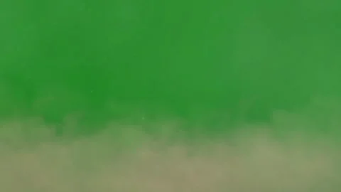 Editable Dust Animation 4K Stock Footage 306035447