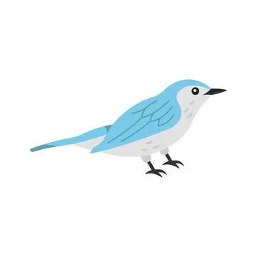 An editable flat vector of small blue gnatcatcher bird. Stock Illustration