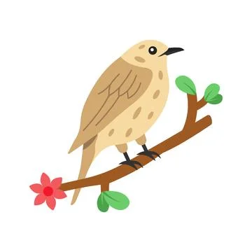 An editable flat vector of wild brown thrush bird. Stock Illustration