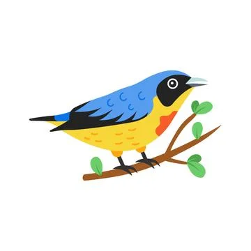An editable flat vector of wild small flowerpecker asset. Stock Illustration