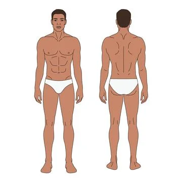 Editable Male Body Chart Front and Back View with Dark Skin Tone for Medical and Stock Illustration