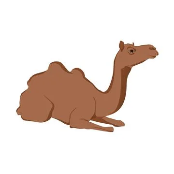 Editable vector illustration of the camel. EPS10 Stock Illustration