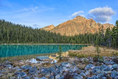 Edith Cavell Lake Stock Photos