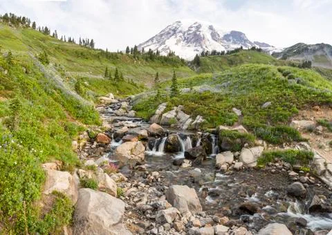 Edith Creek below Mt. Ranier Stock-Fotos