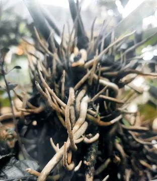 Editing Stock Photos