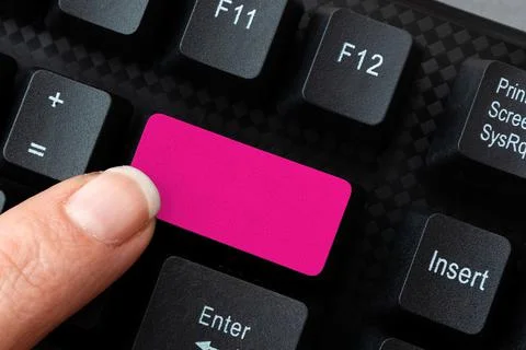 Editing Website Program Codes, Learning New Programming Languagem, Spreading Stock Photos