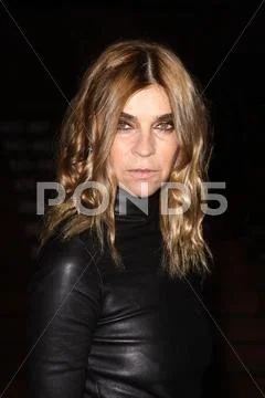 Editor-in-chief of french vogue carine roitfeld.prada book launch cocktail at Stock Photos
