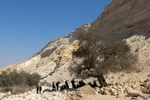 Editorial 06 11 2025 Eyn Avdat Nature Reserve Israel Tourists Stock Photos