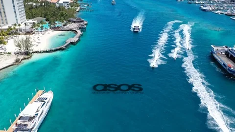 Editorial Animation asos Stock Footage 111230464