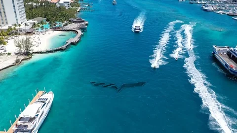 Editorial Animation Corvette Stock Footage 110946773