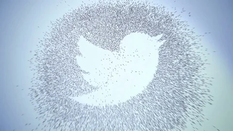 Editorial Animation: People of Twitter Stock Footage 73344708